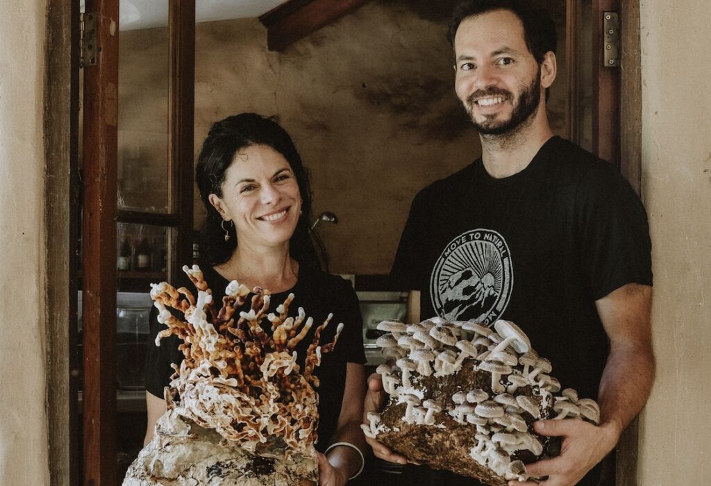 Vanessa & Jahdi - Maddrake Mushrooms - Nambucca Valley - The freshest medicinal mushies!
